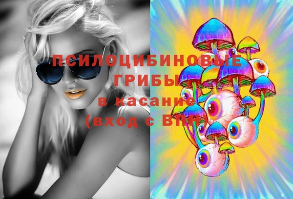 мдпв Карпинск