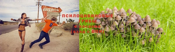 мдма Козельск