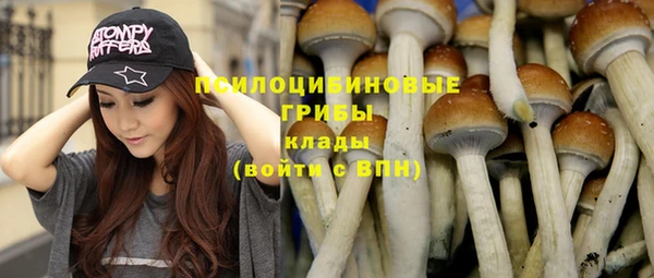 мдпв Карталы